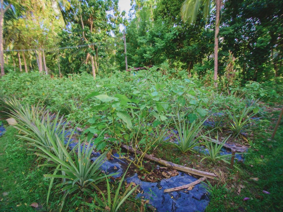 Thalpe Walawwa Heritage Villa Unawatuna Exteriér fotografie