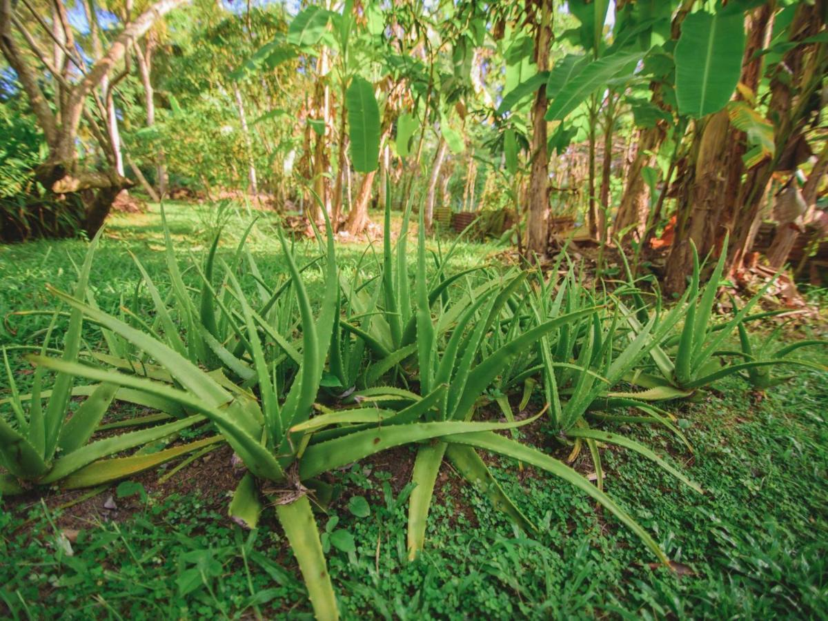 Thalpe Walawwa Heritage Villa Unawatuna Exteriér fotografie